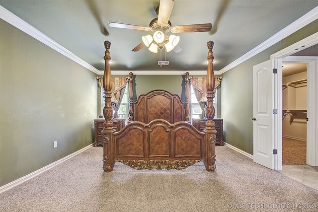 carpeted bedroom featuring crown molding, a walk in closet, and ceiling fan