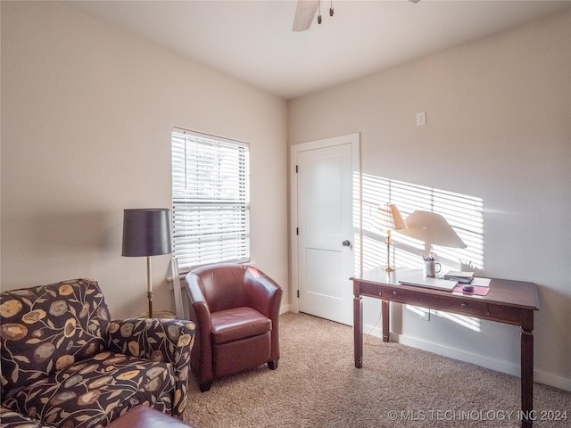 office space featuring carpet and ceiling fan