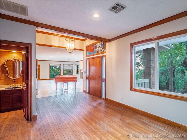 interior space with light hardwood / wood-style flooring, ornamental molding, a textured ceiling, and sink