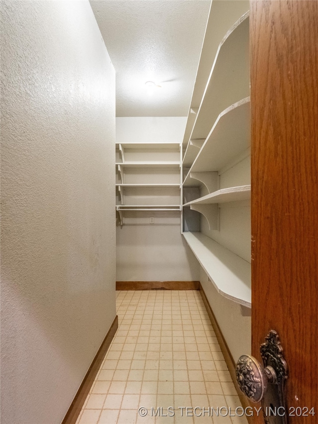 view of spacious closet