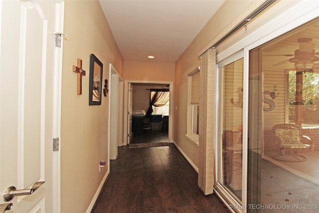 hallway featuring dark hardwood / wood-style floors