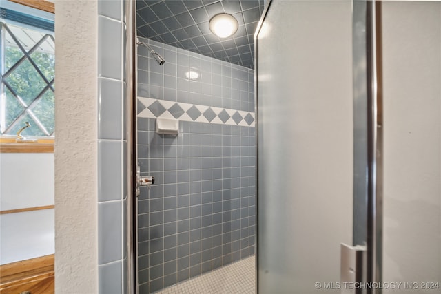 bathroom with walk in shower and plenty of natural light