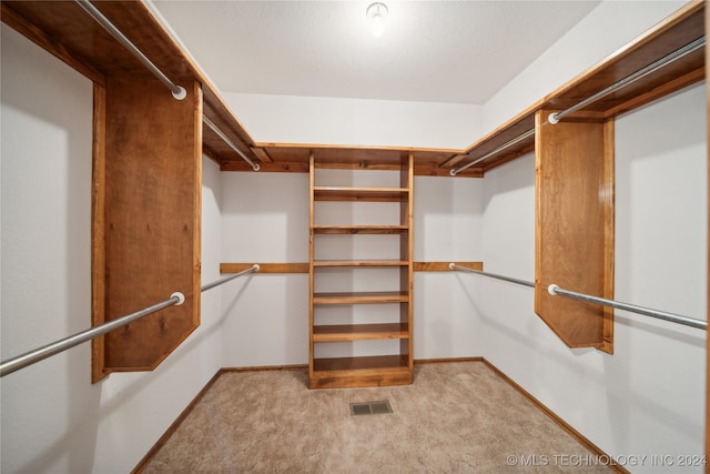 spacious closet featuring light carpet