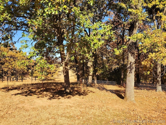 view of local wilderness