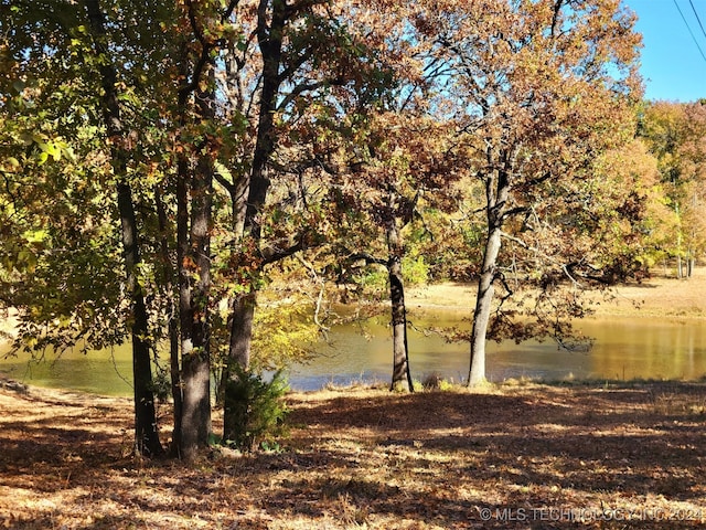 property view of water