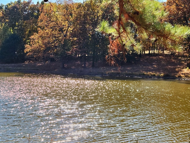 view of water feature