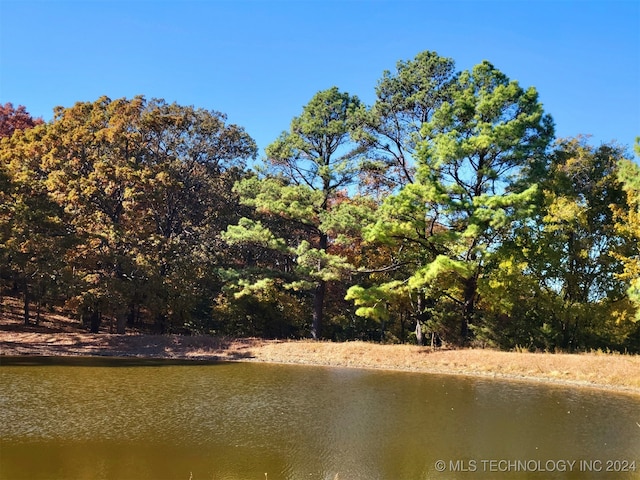 property view of water