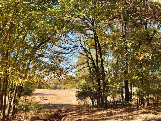 view of landscape