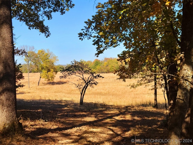 view of landscape featuring a rural view