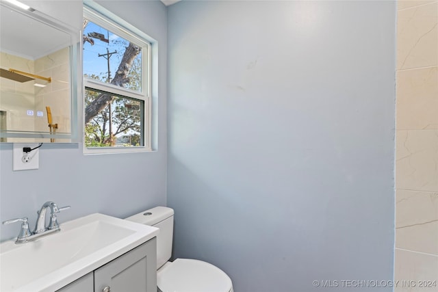 bathroom featuring a shower, vanity, and toilet