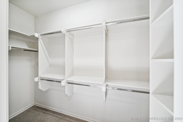 spacious closet featuring carpet flooring