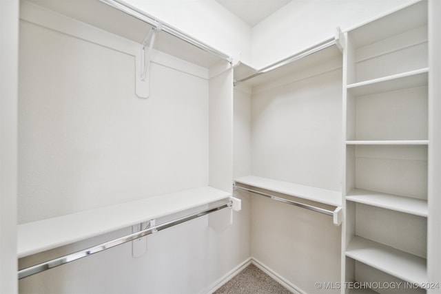 spacious closet with carpet floors