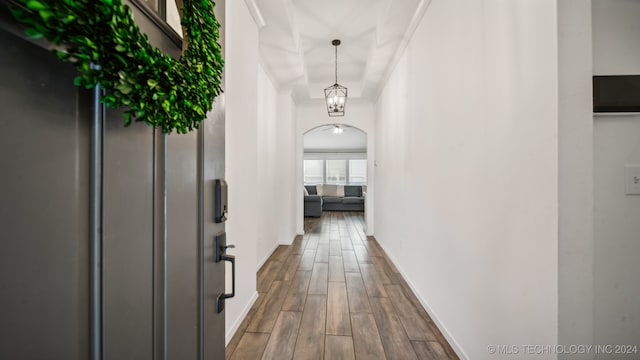 corridor featuring ornamental molding and dark hardwood / wood-style flooring