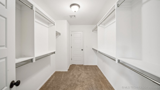 spacious closet featuring light colored carpet