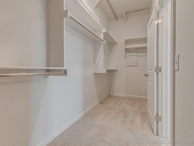 walk in closet with light colored carpet