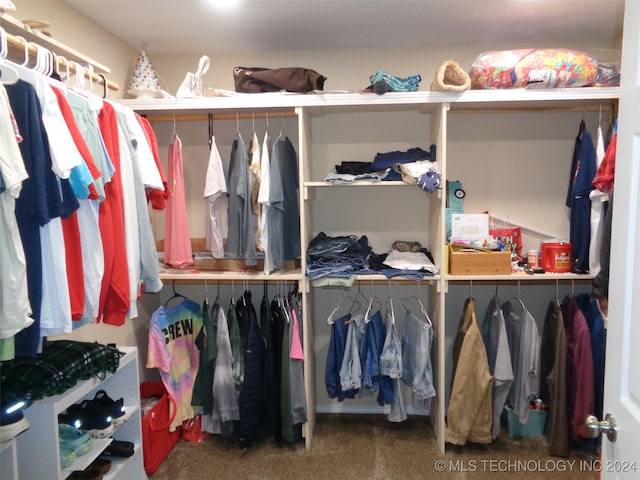 walk in closet featuring carpet