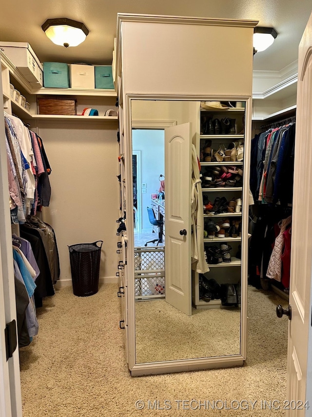 walk in closet featuring carpet floors