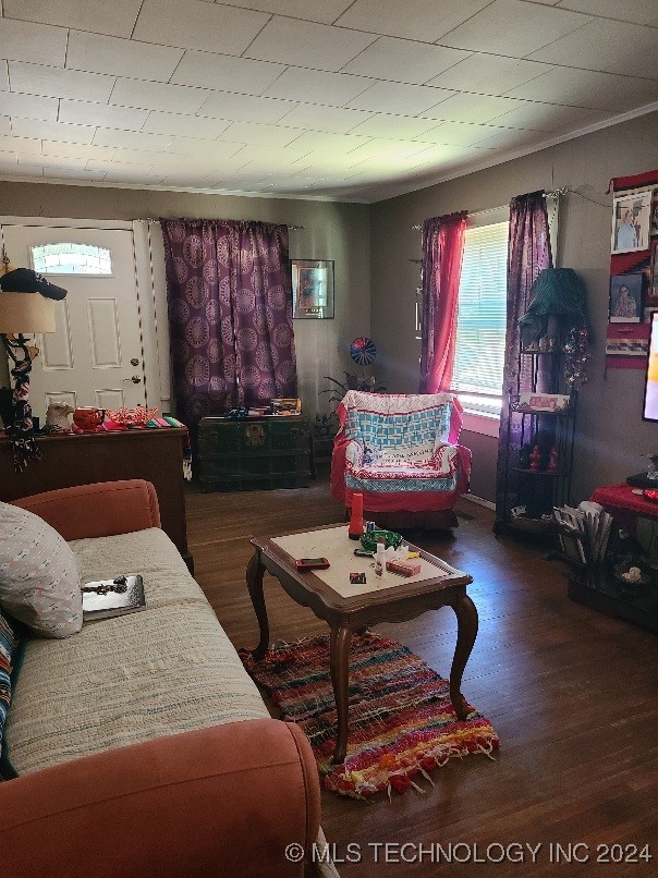 living room with crown molding and dark wood-type flooring