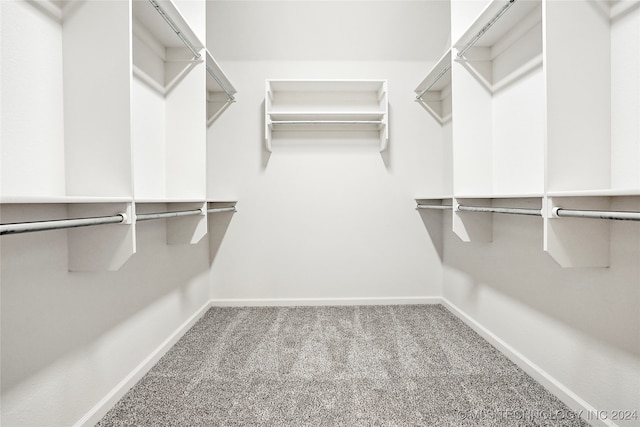 walk in closet featuring carpet