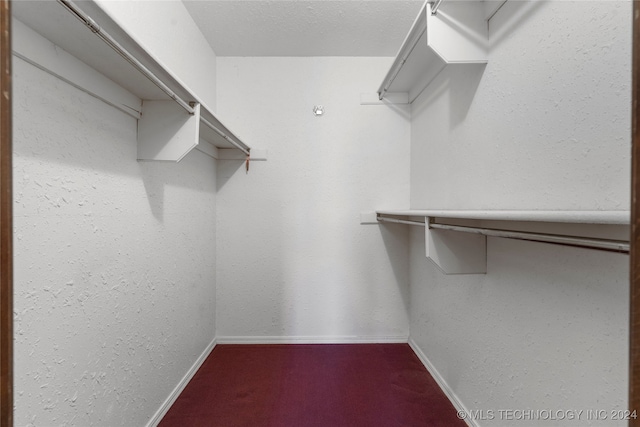 spacious closet with carpet floors