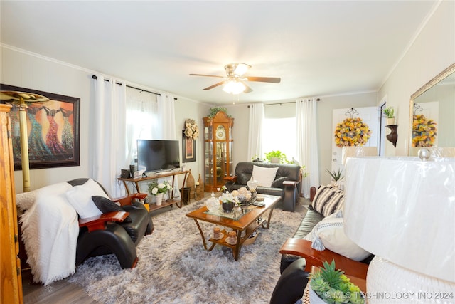 living room with ornamental molding, ceiling fan, and plenty of natural light