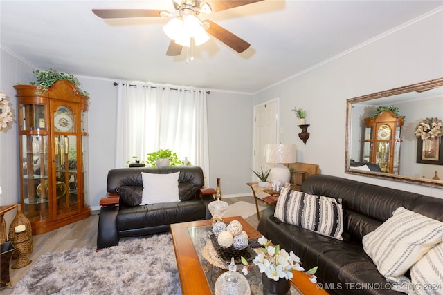 living room with ceiling fan, ornamental molding, and light wood-type flooring