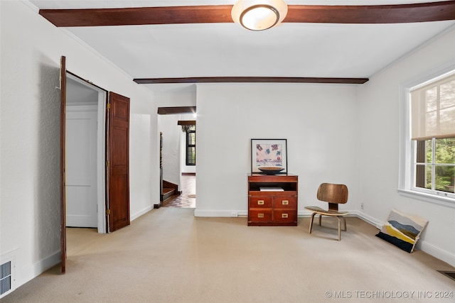 sitting room featuring crown molding and light carpet