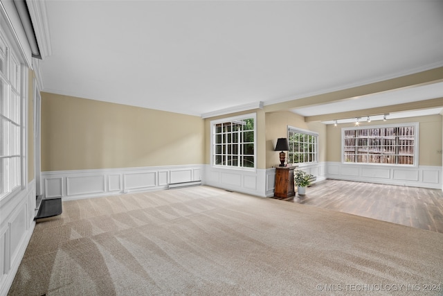 spare room featuring light carpet, crown molding, and a baseboard heating unit