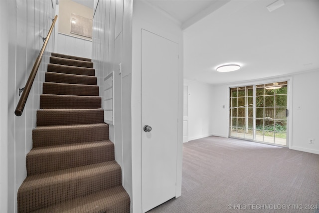 stairs featuring carpet flooring