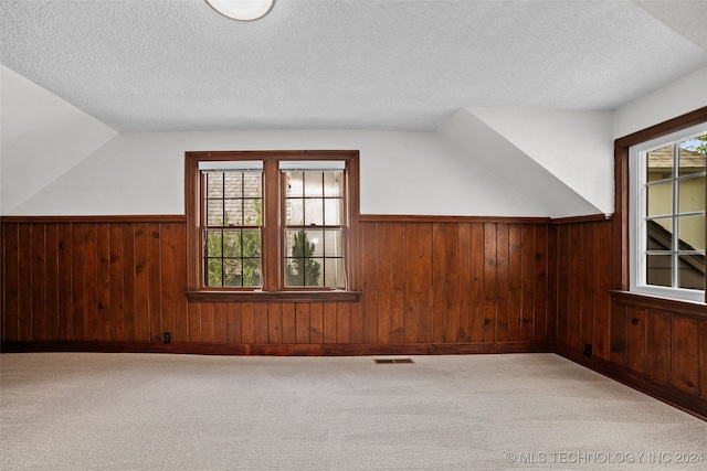 bonus room with light carpet, a textured ceiling, and plenty of natural light