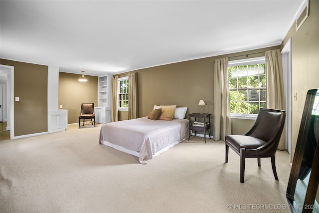 bedroom with light colored carpet