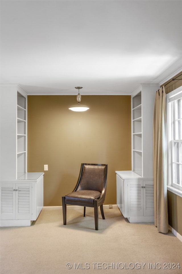 living area with light colored carpet and built in shelves