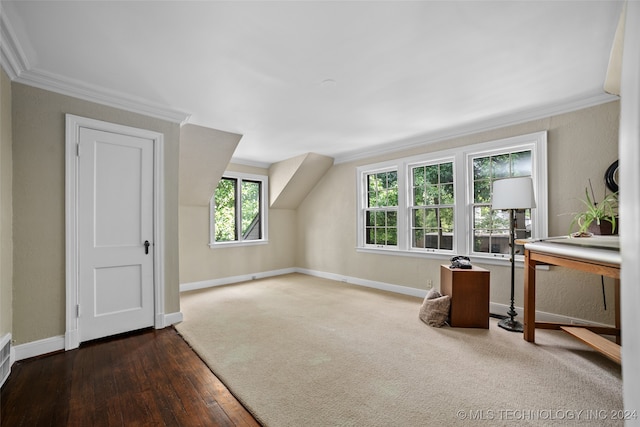 bonus room with dark hardwood / wood-style flooring