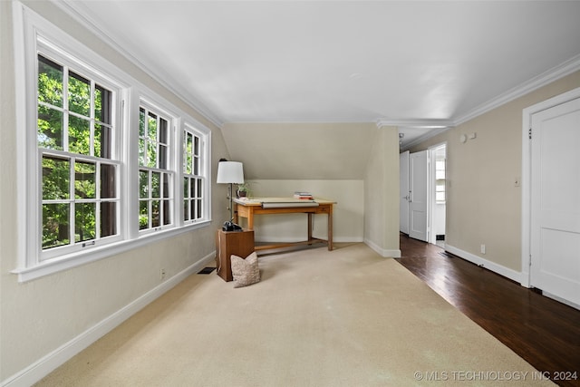 interior space with dark wood-type flooring, crown molding, and vaulted ceiling