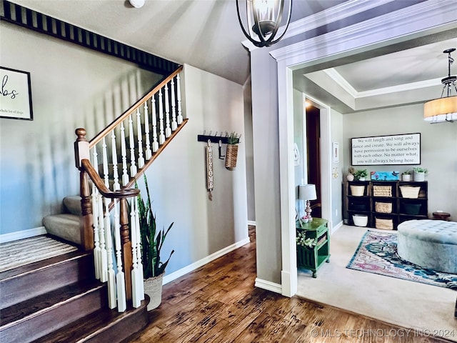 stairway with ornamental molding and hardwood / wood-style floors