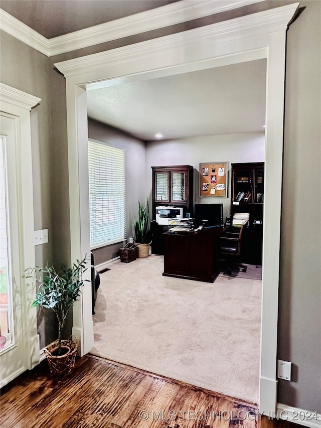 office space featuring crown molding and dark carpet