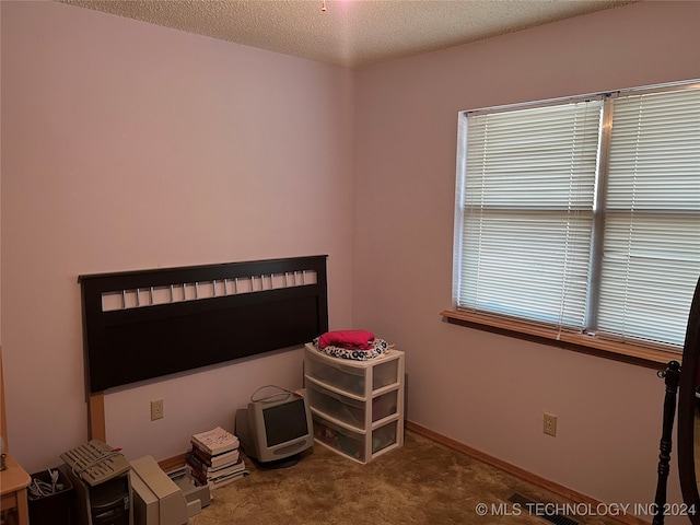 bedroom with a textured ceiling and carpet flooring