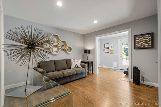 living room featuring hardwood / wood-style flooring