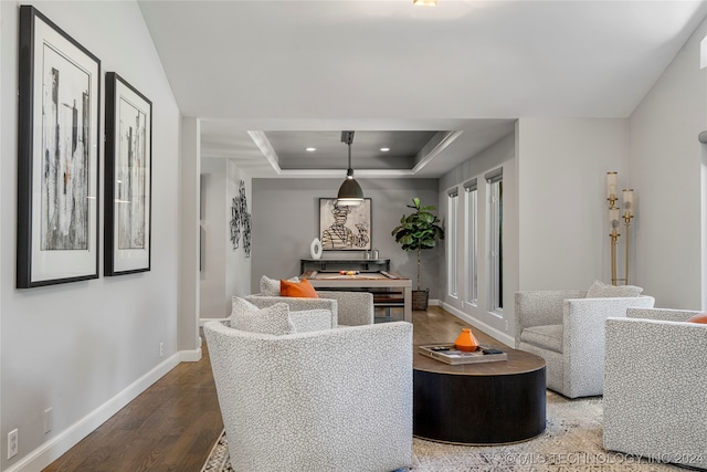 living room featuring a tray ceiling and wood-type flooring