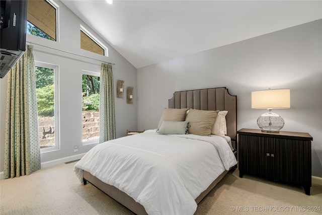 carpeted bedroom with high vaulted ceiling