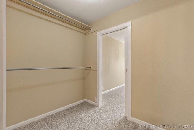 spacious closet featuring carpet