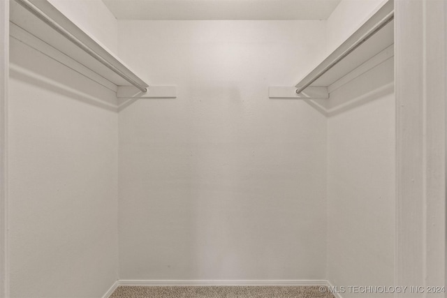 walk in closet with carpet