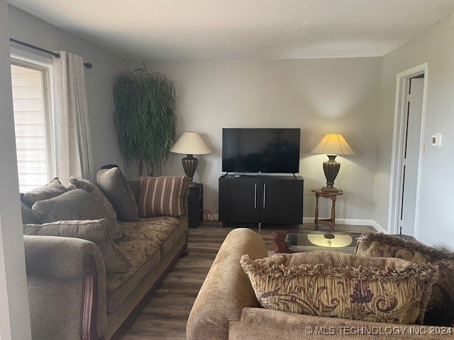 living room featuring dark hardwood / wood-style flooring