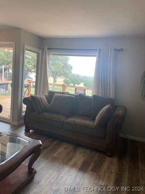 living room featuring dark wood-type flooring