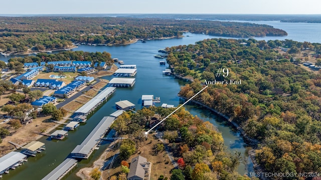 bird's eye view with a water view