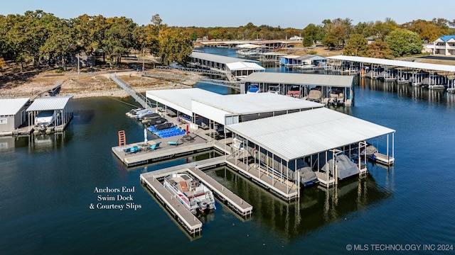 dock area with a water view