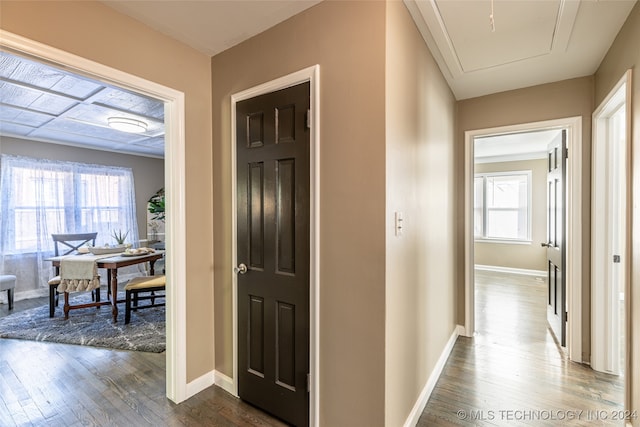 corridor featuring a healthy amount of sunlight and dark hardwood / wood-style flooring