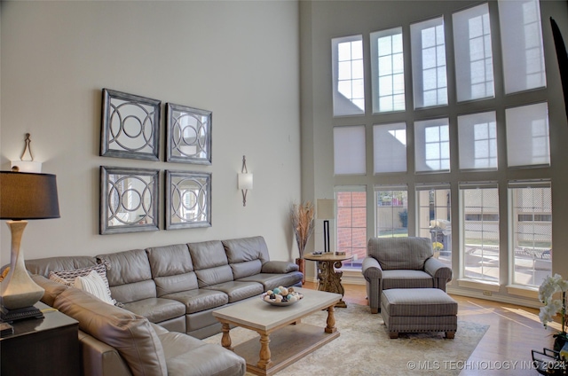 living room with a towering ceiling