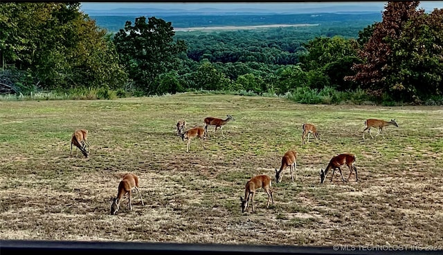 view of community