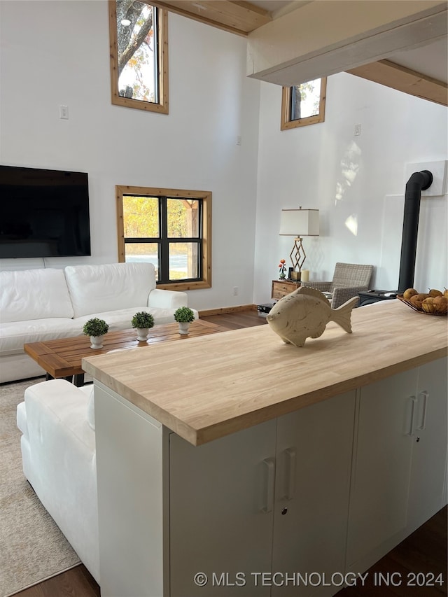 living room with a high ceiling, a wood stove, and a wealth of natural light